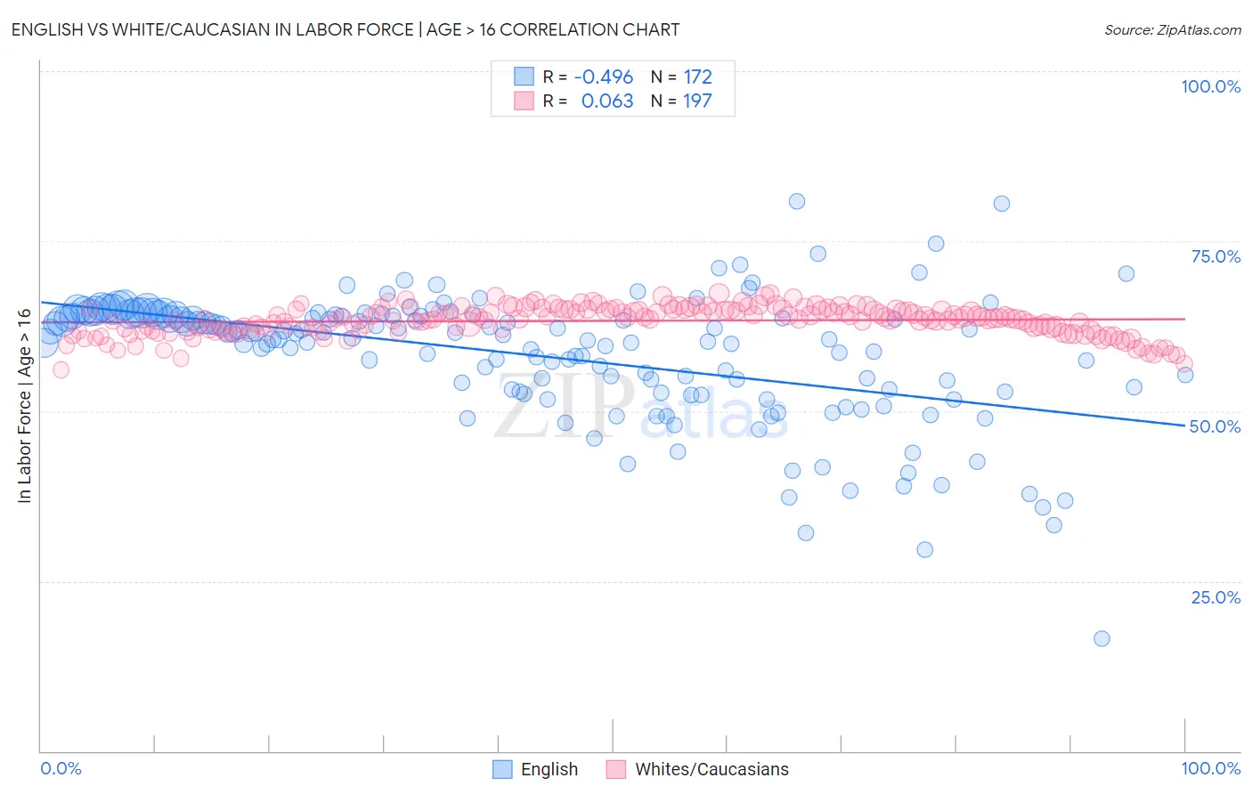 English vs White/Caucasian In Labor Force | Age > 16
