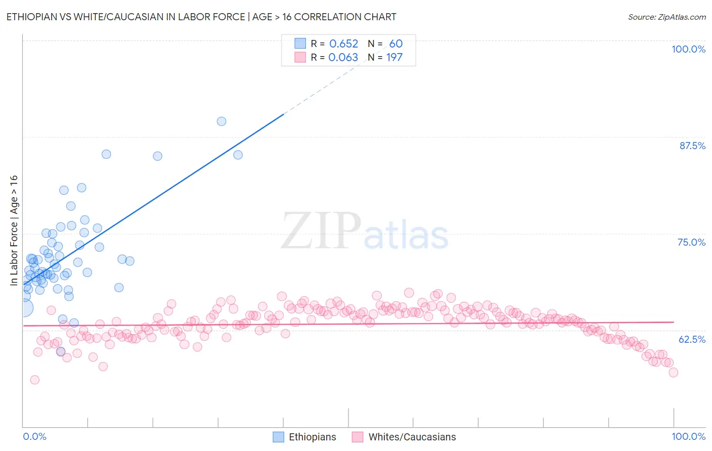 Ethiopian vs White/Caucasian In Labor Force | Age > 16