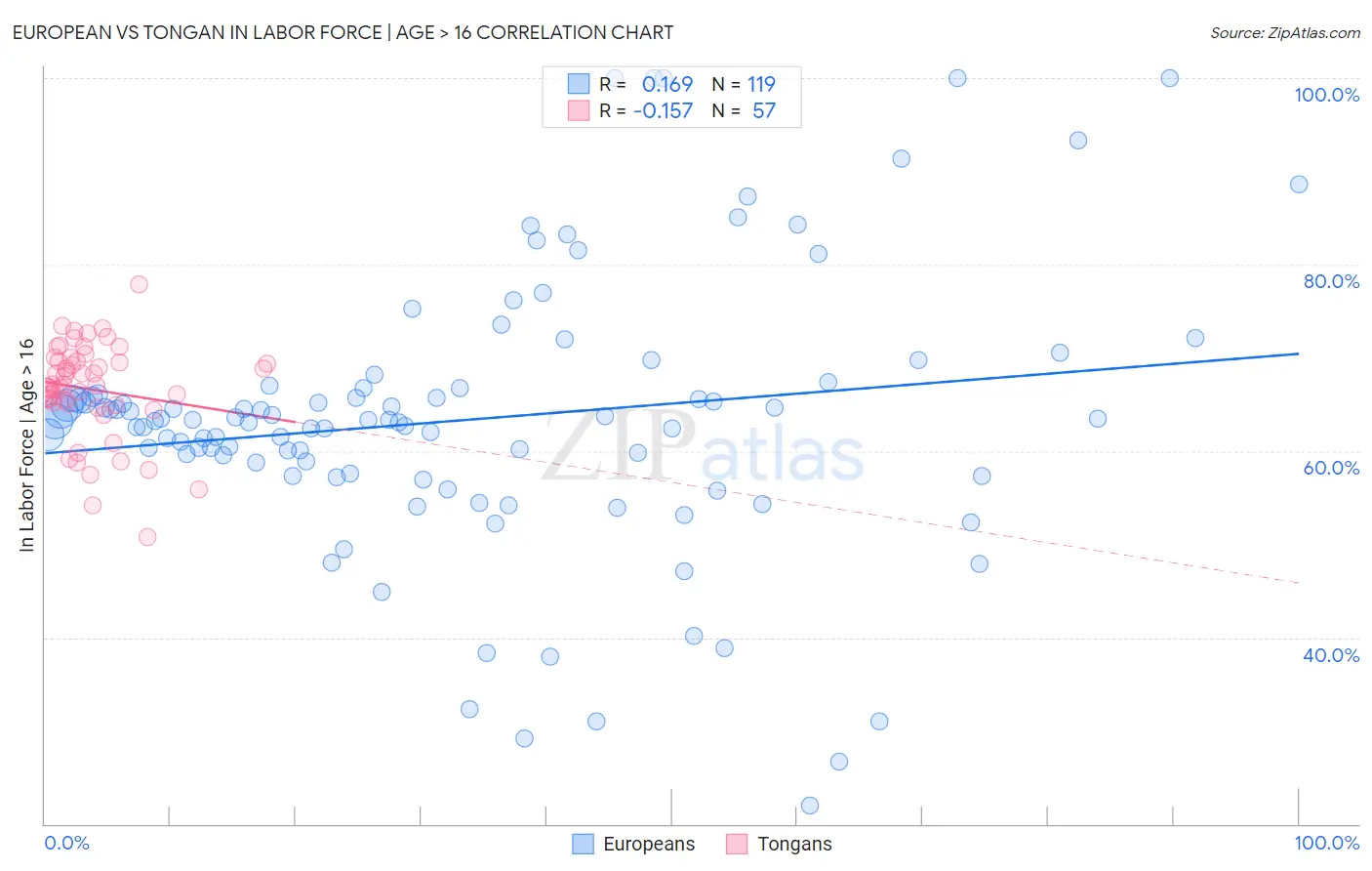 European vs Tongan In Labor Force | Age > 16