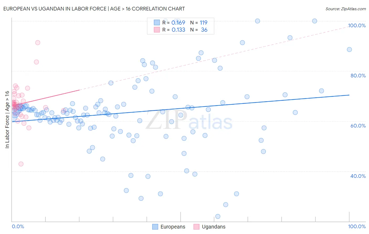 European vs Ugandan In Labor Force | Age > 16