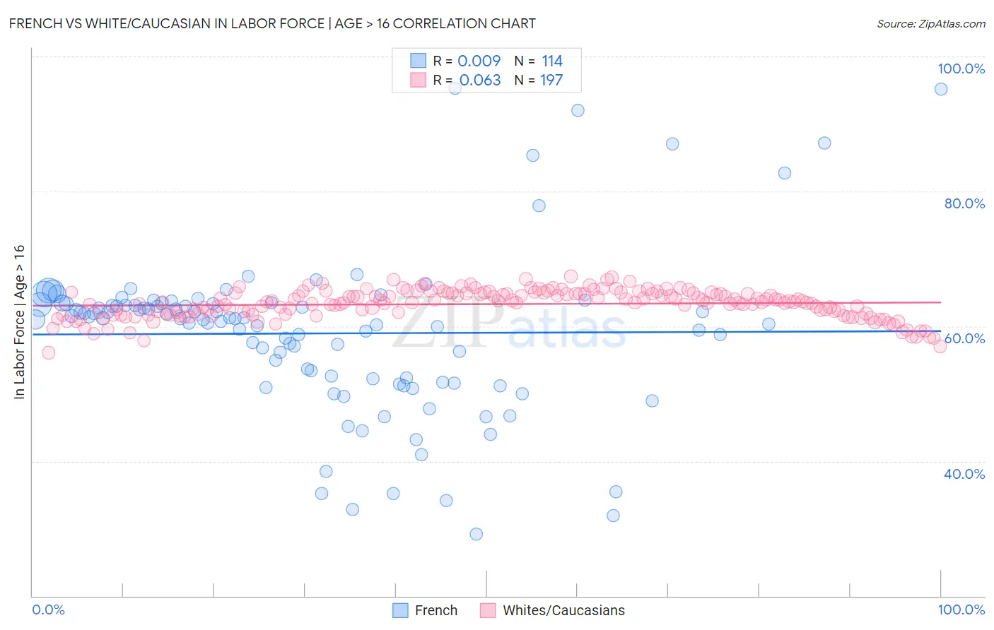 French vs White/Caucasian In Labor Force | Age > 16