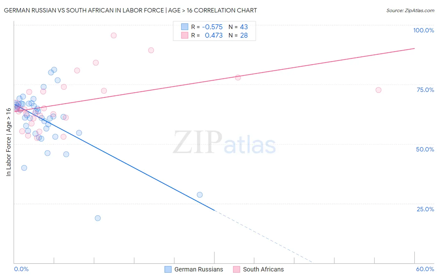 German Russian vs South African In Labor Force | Age > 16