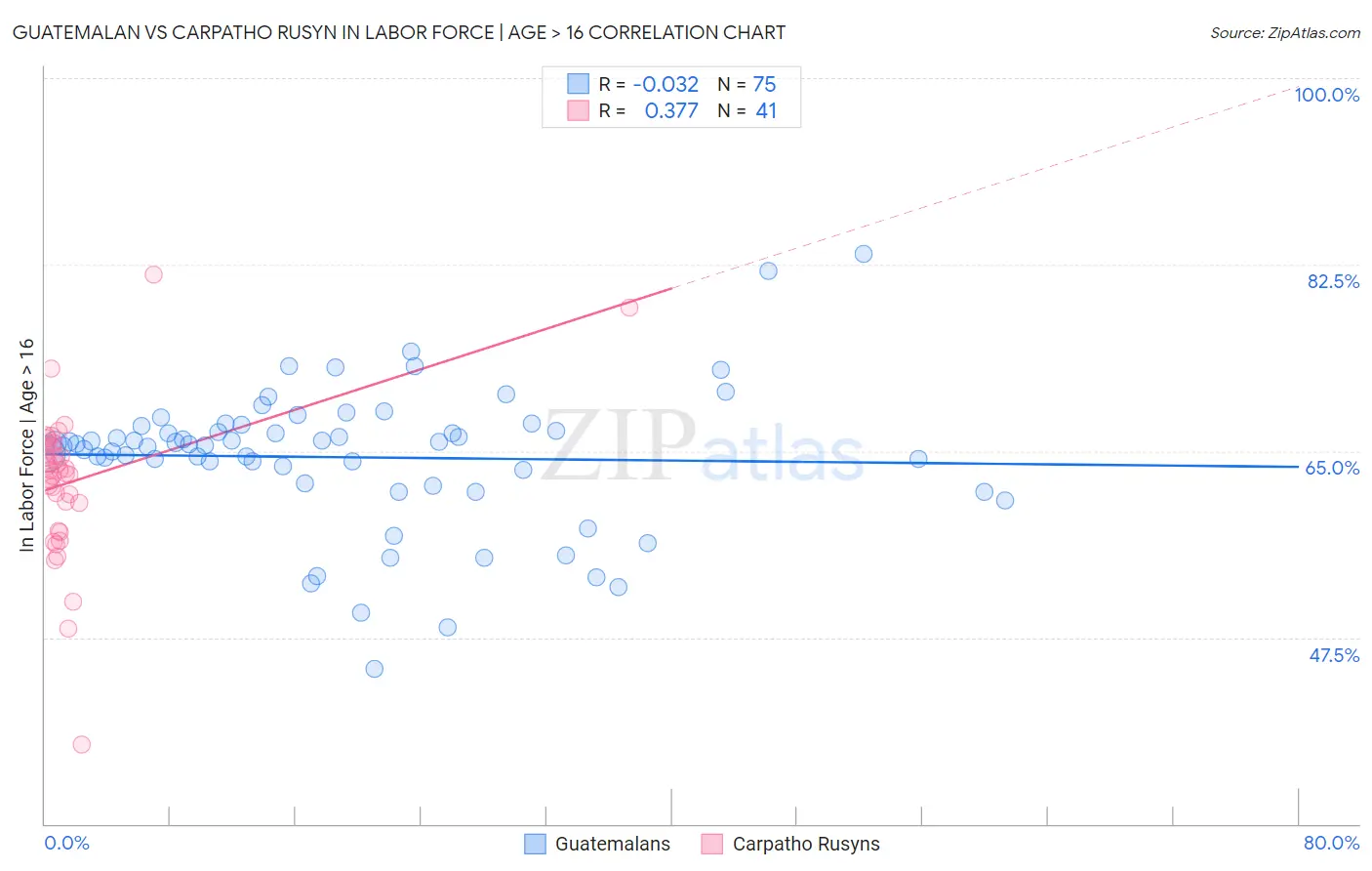 Guatemalan vs Carpatho Rusyn In Labor Force | Age > 16