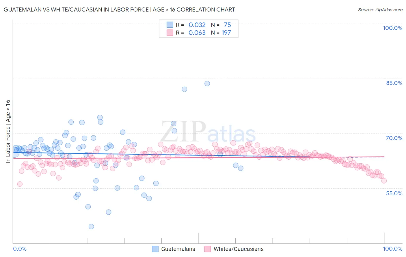 Guatemalan vs White/Caucasian In Labor Force | Age > 16