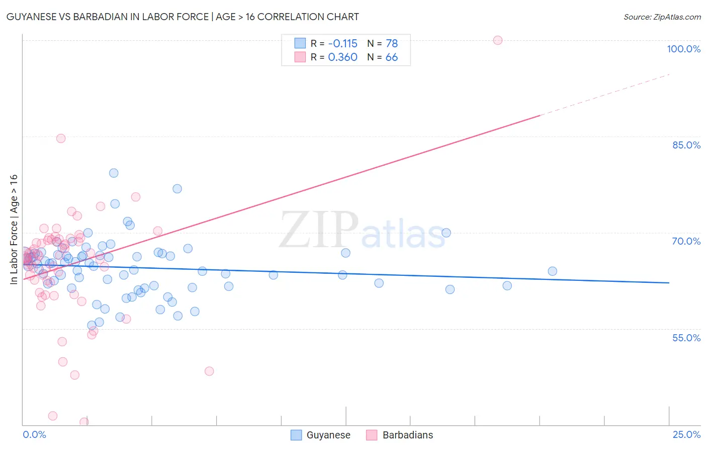 Guyanese vs Barbadian In Labor Force | Age > 16
