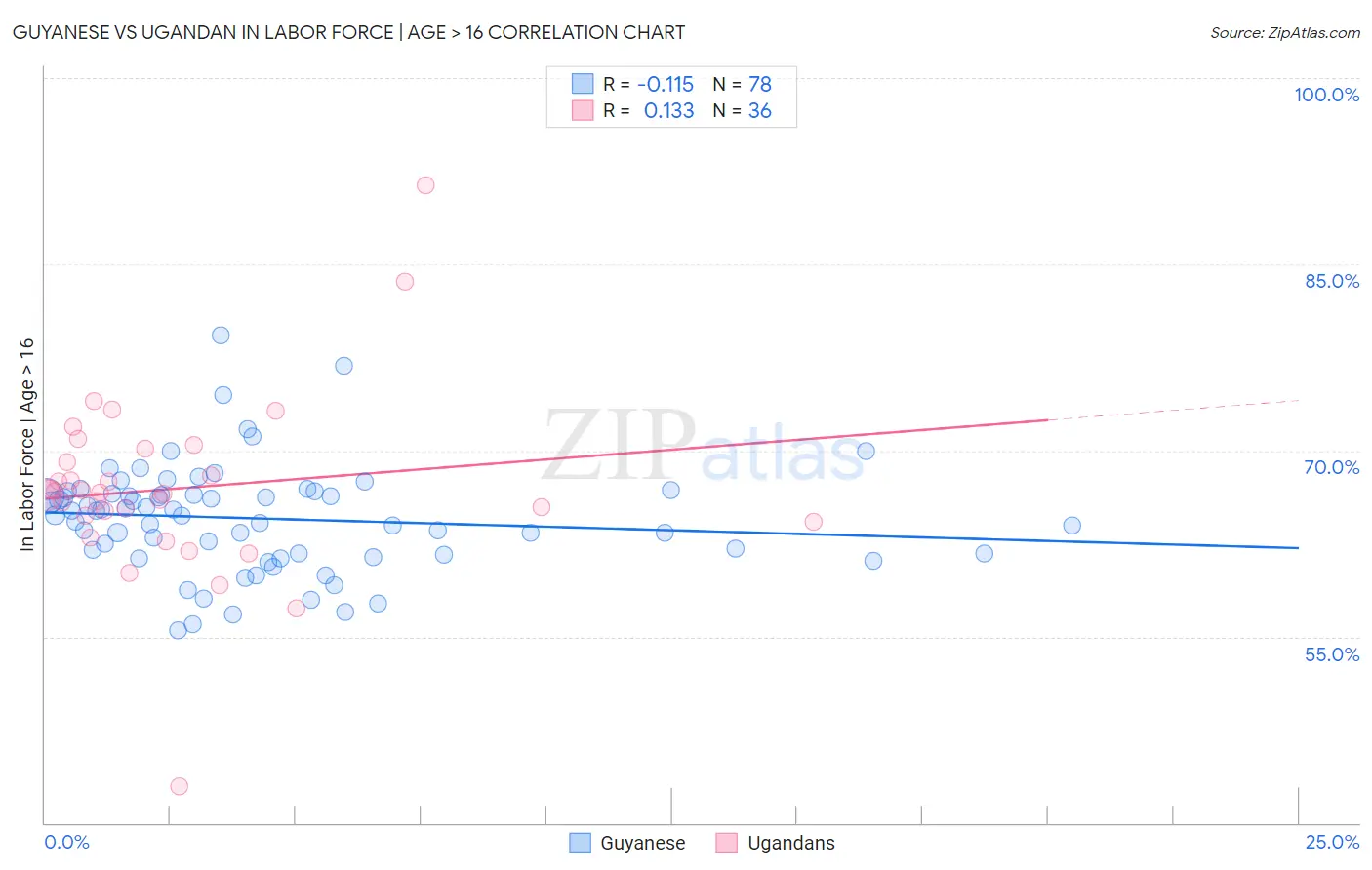 Guyanese vs Ugandan In Labor Force | Age > 16