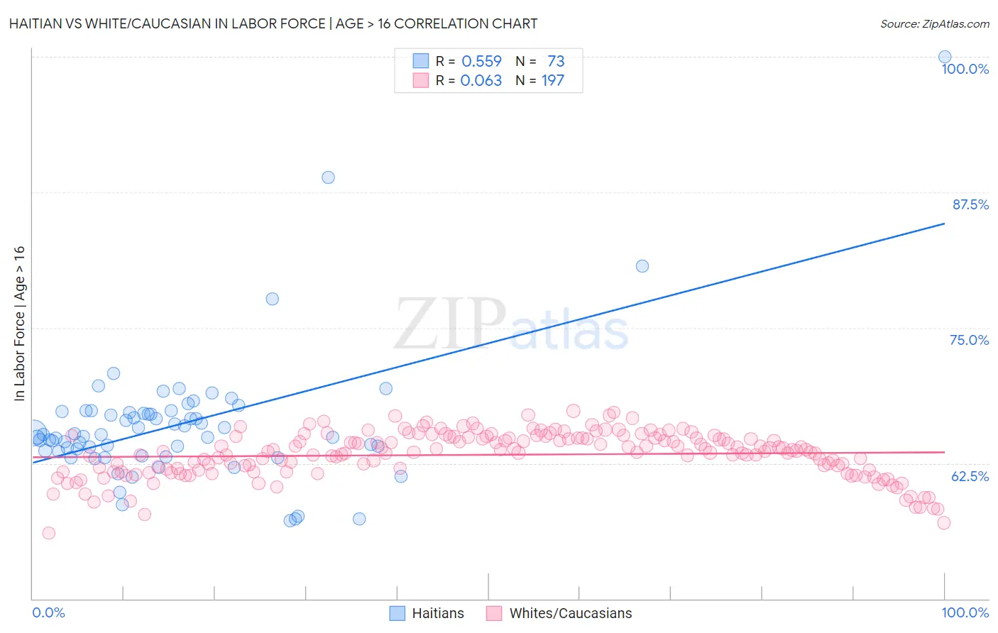 Haitian vs White/Caucasian In Labor Force | Age > 16