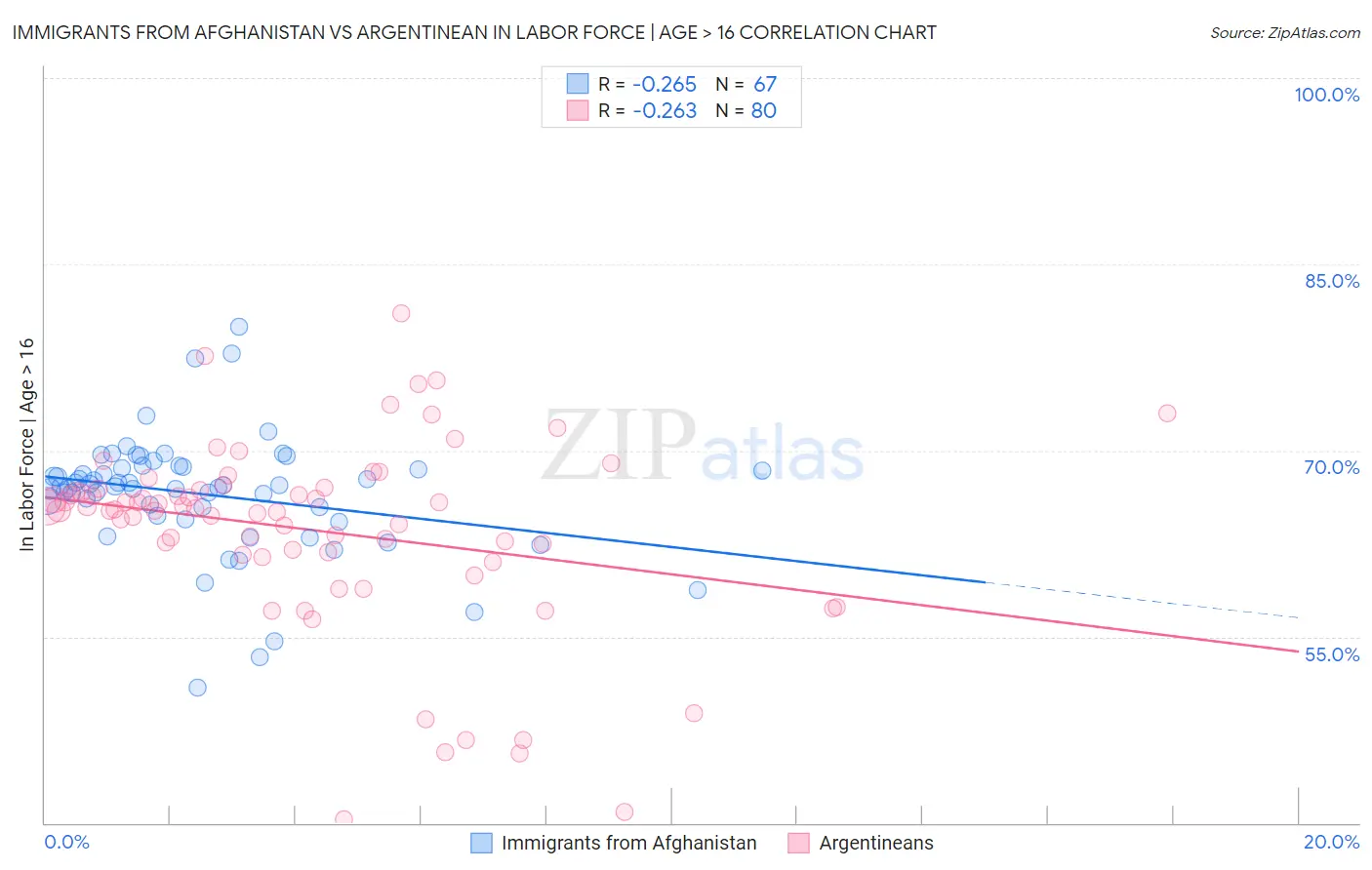 Immigrants from Afghanistan vs Argentinean In Labor Force | Age > 16
