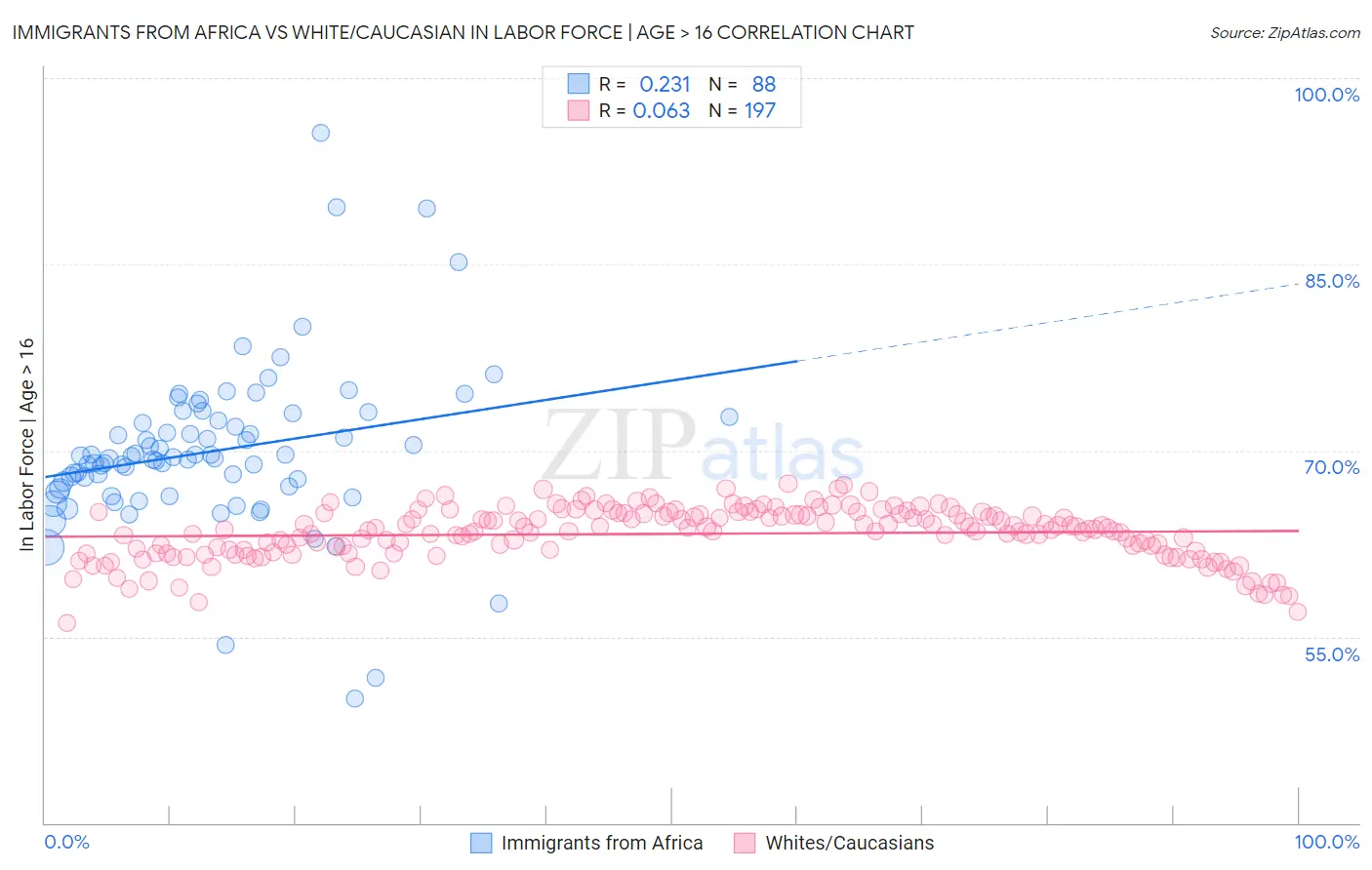 Immigrants from Africa vs White/Caucasian In Labor Force | Age > 16