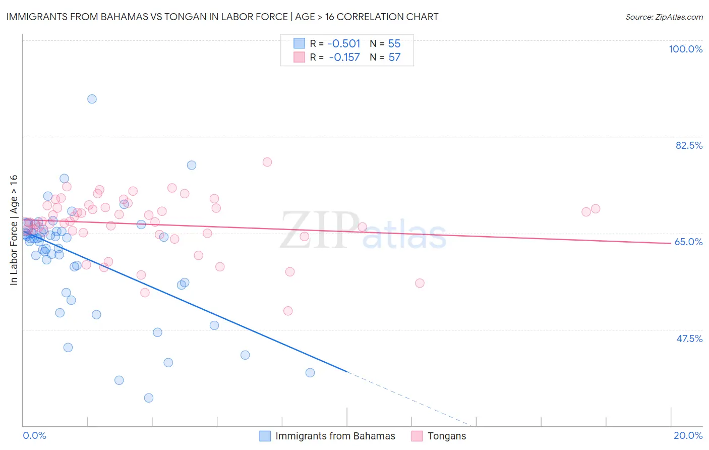 Immigrants from Bahamas vs Tongan In Labor Force | Age > 16