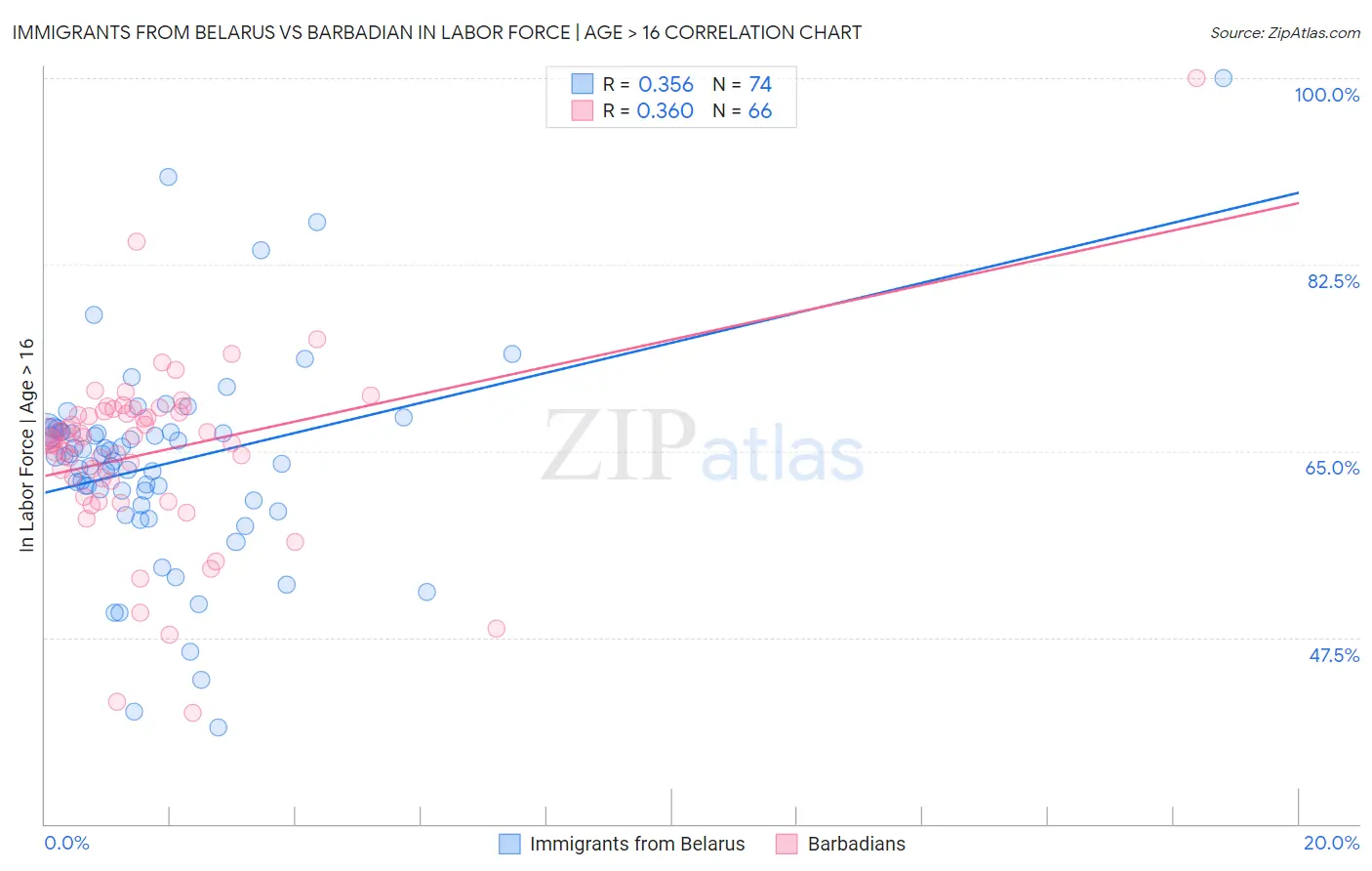 Immigrants from Belarus vs Barbadian In Labor Force | Age > 16
