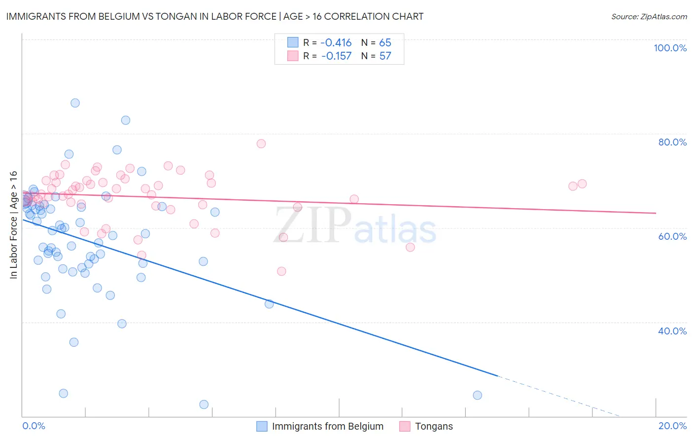 Immigrants from Belgium vs Tongan In Labor Force | Age > 16