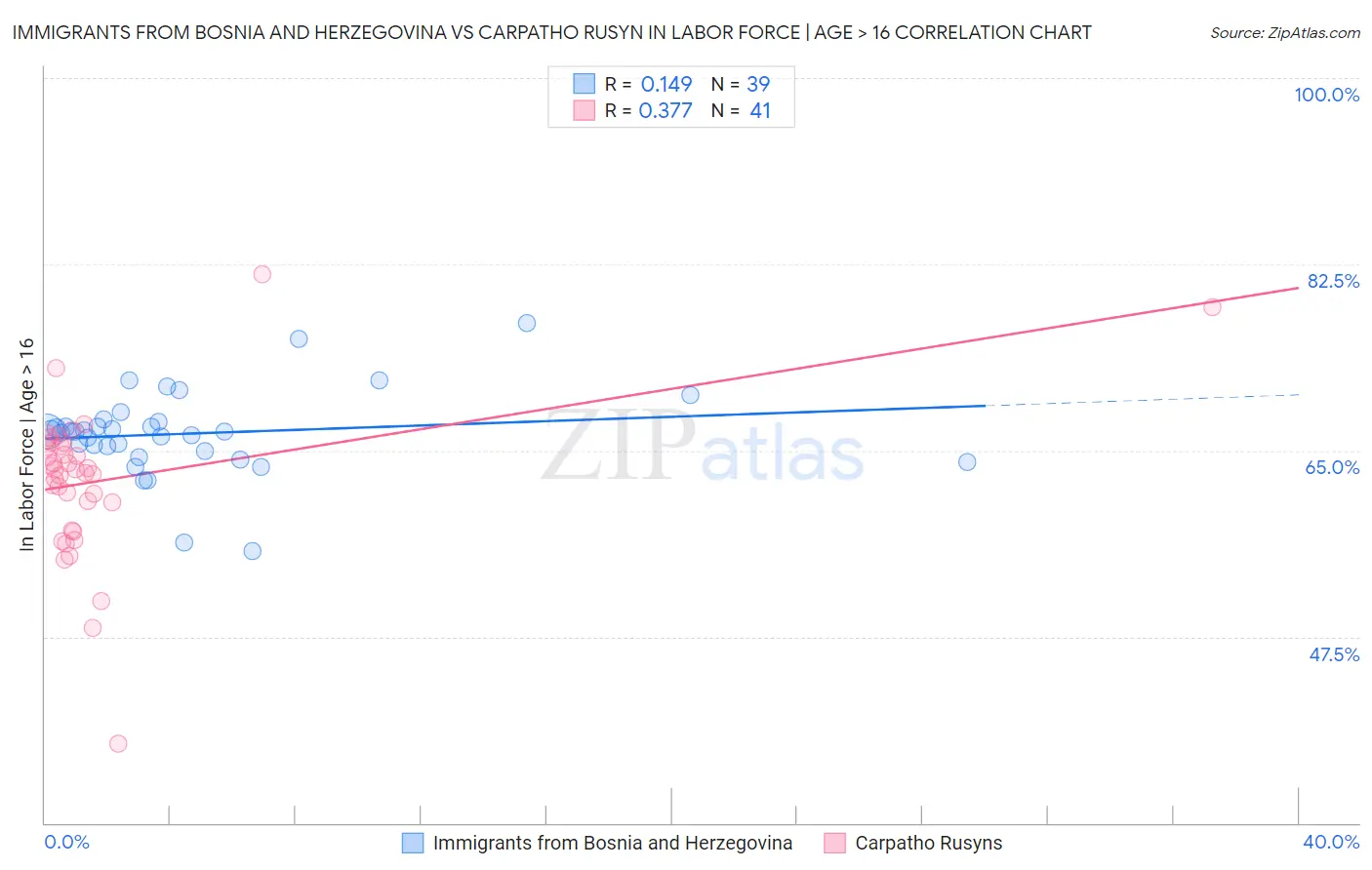 Immigrants from Bosnia and Herzegovina vs Carpatho Rusyn In Labor Force | Age > 16