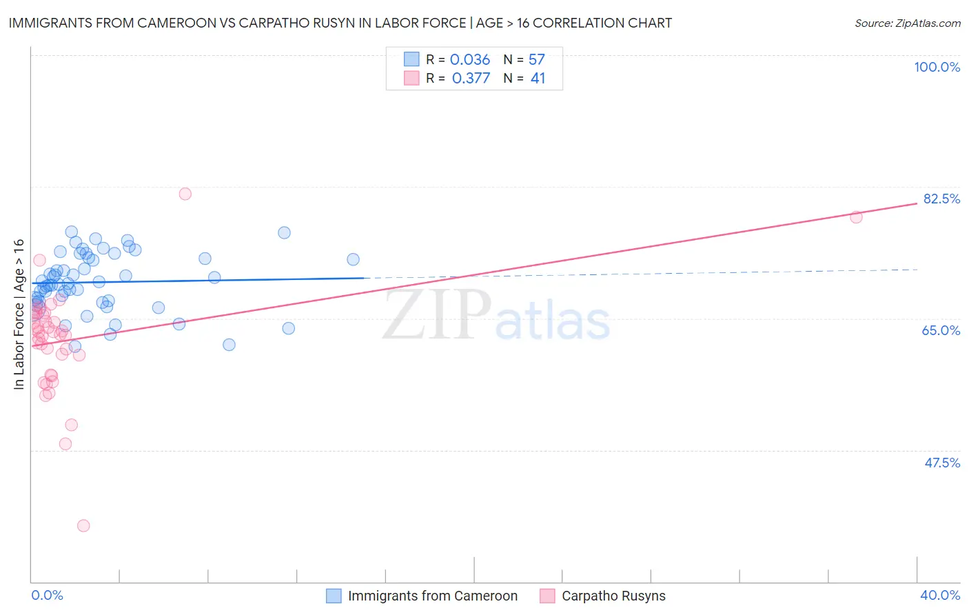 Immigrants from Cameroon vs Carpatho Rusyn In Labor Force | Age > 16