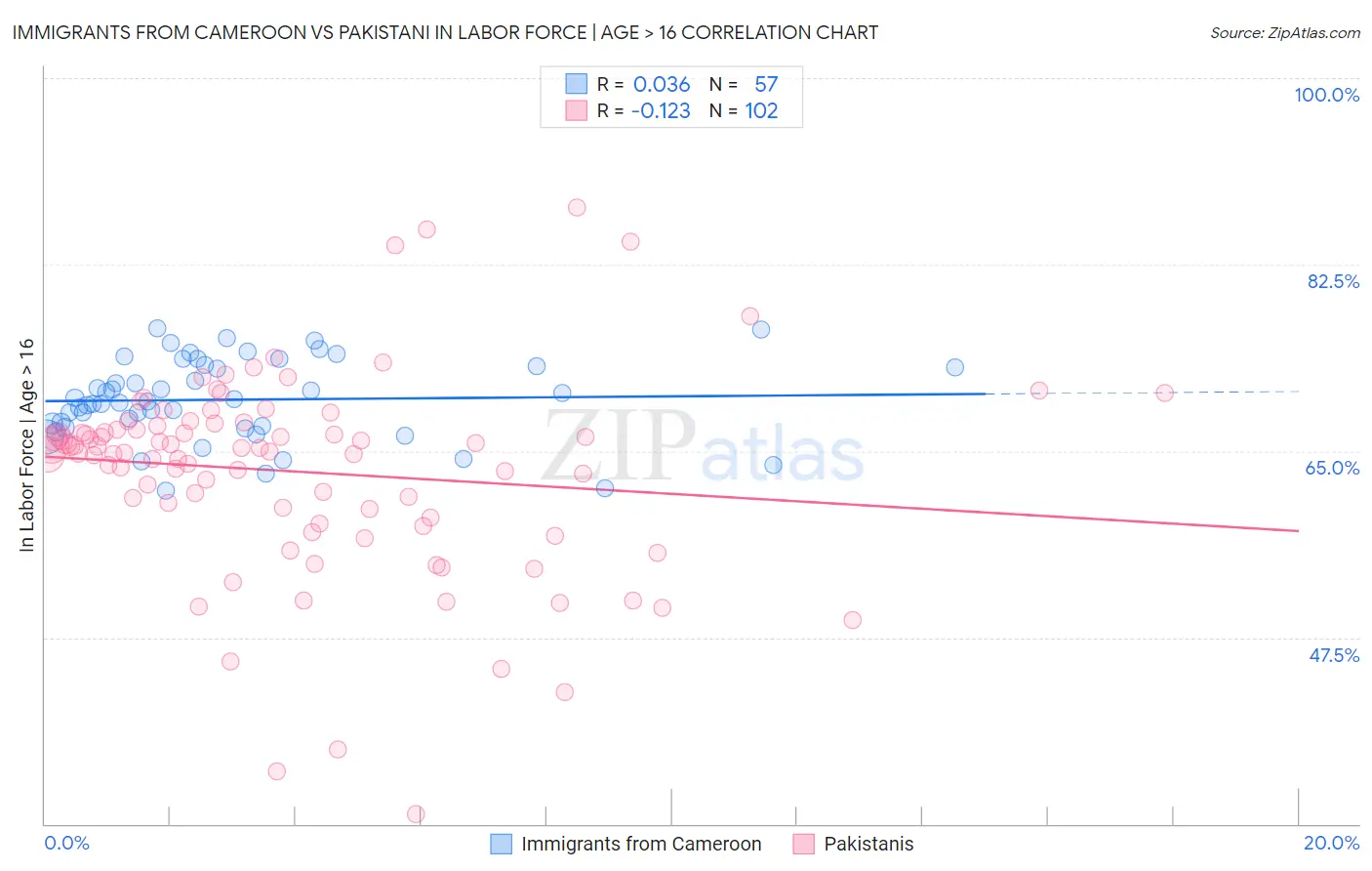 Immigrants from Cameroon vs Pakistani In Labor Force | Age > 16