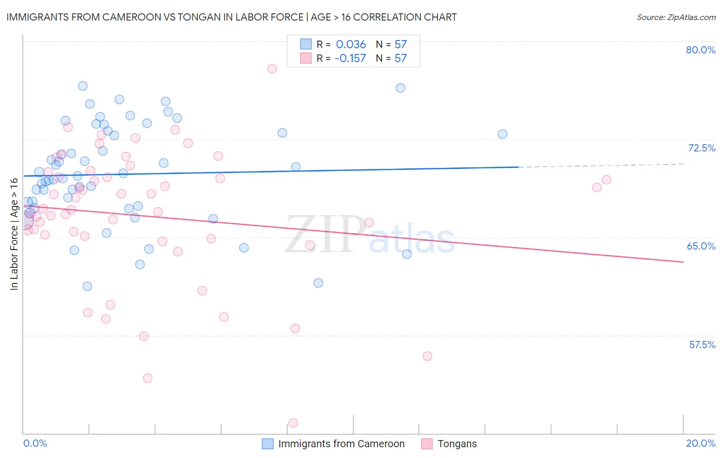 Immigrants from Cameroon vs Tongan In Labor Force | Age > 16