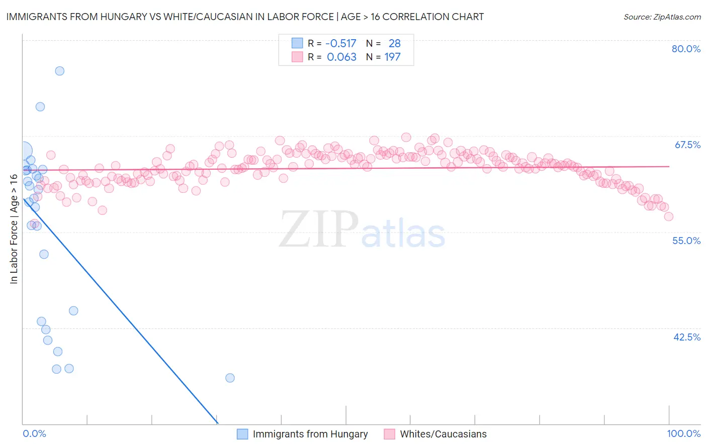 Immigrants from Hungary vs White/Caucasian In Labor Force | Age > 16