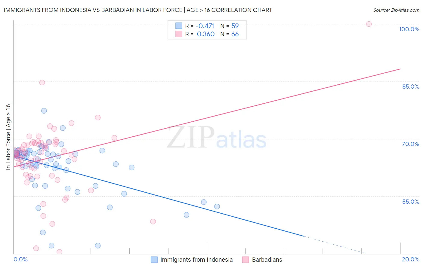 Immigrants from Indonesia vs Barbadian In Labor Force | Age > 16