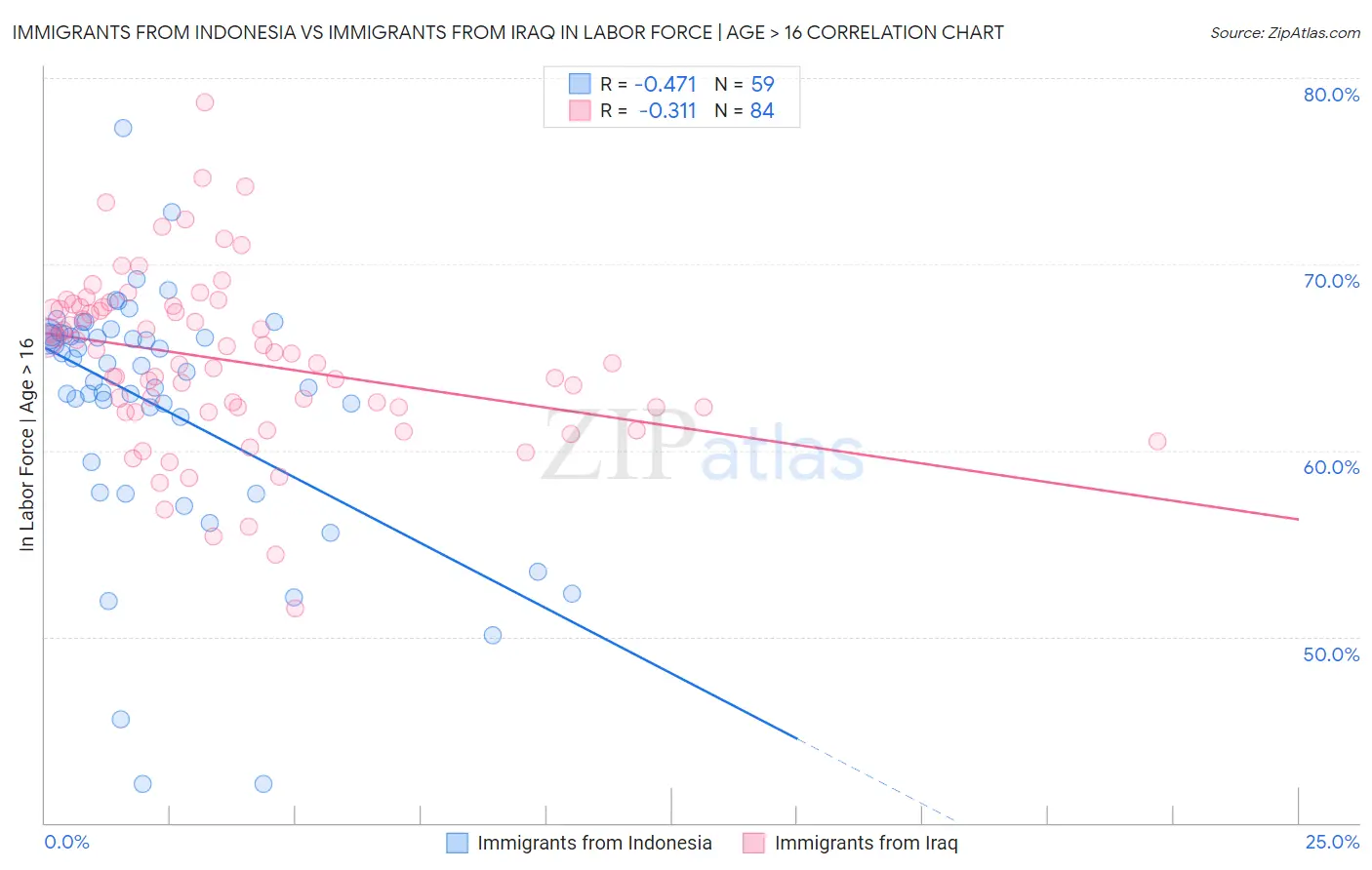 Immigrants from Indonesia vs Immigrants from Iraq In Labor Force | Age > 16