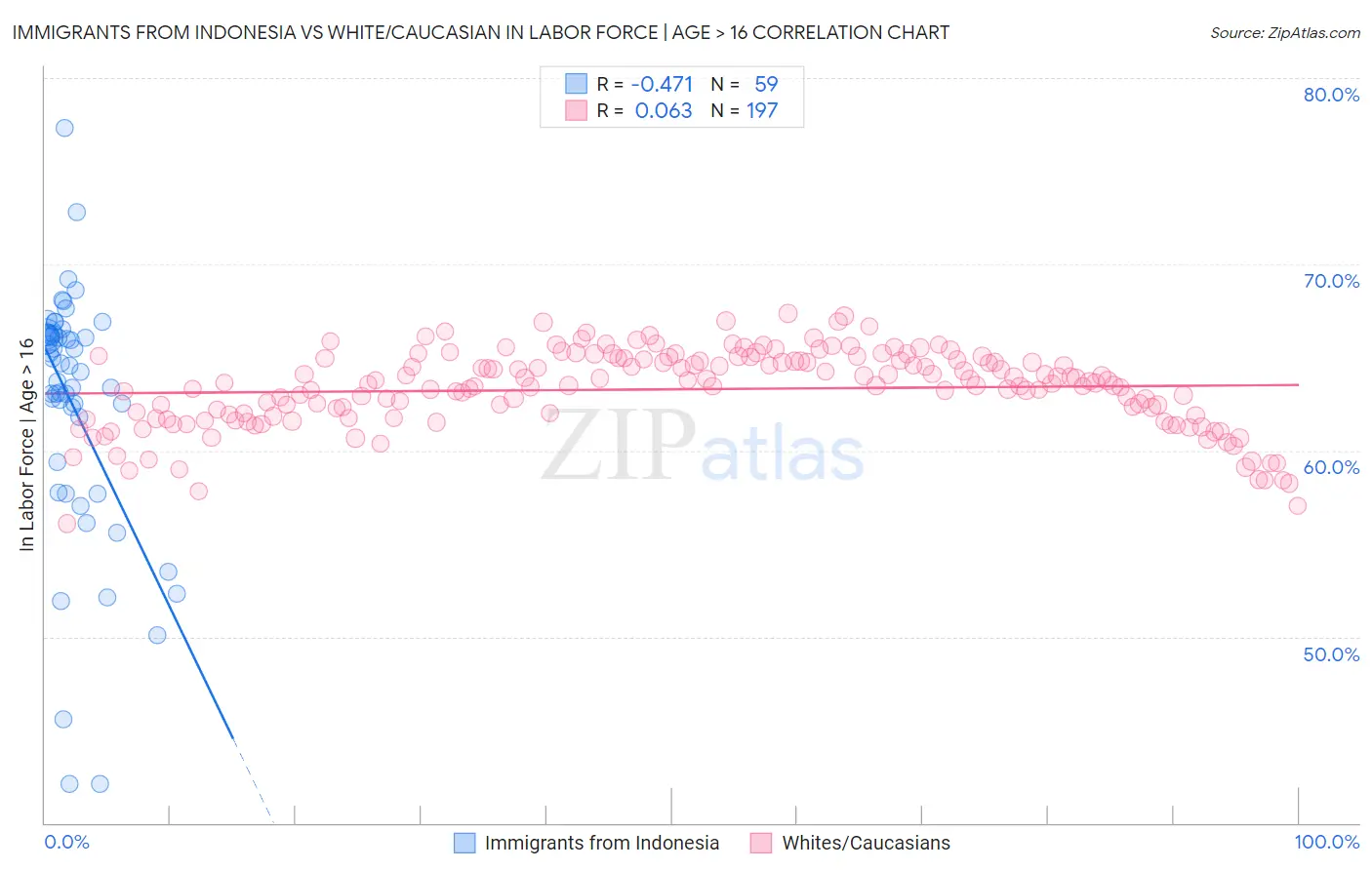 Immigrants from Indonesia vs White/Caucasian In Labor Force | Age > 16