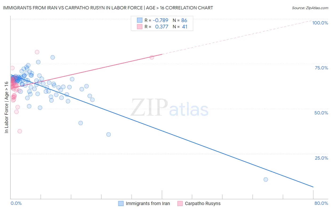 Immigrants from Iran vs Carpatho Rusyn In Labor Force | Age > 16
