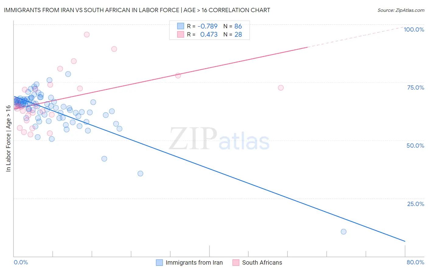 Immigrants from Iran vs South African In Labor Force | Age > 16