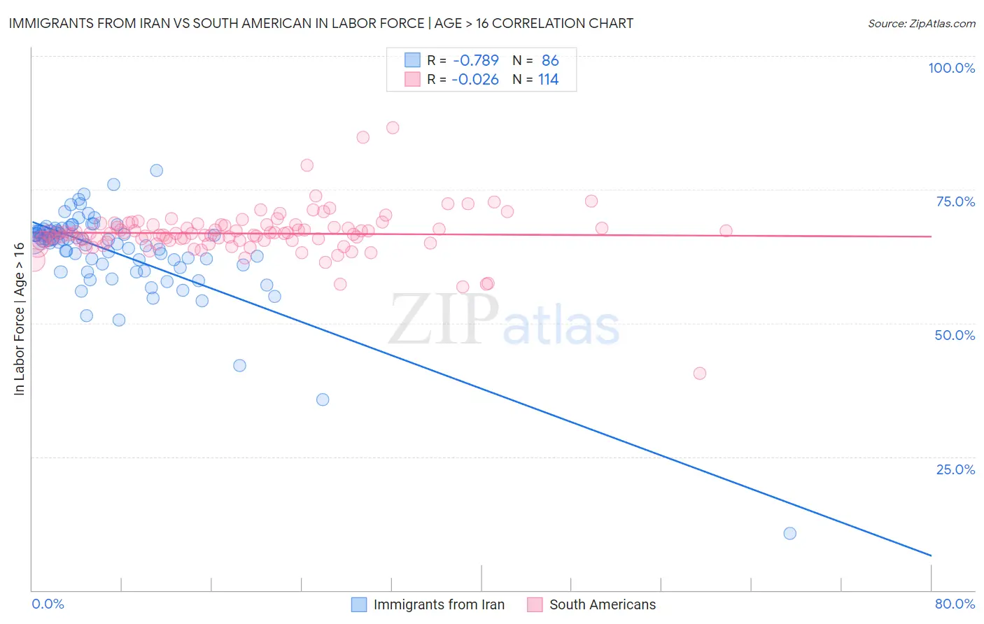 Immigrants from Iran vs South American In Labor Force | Age > 16