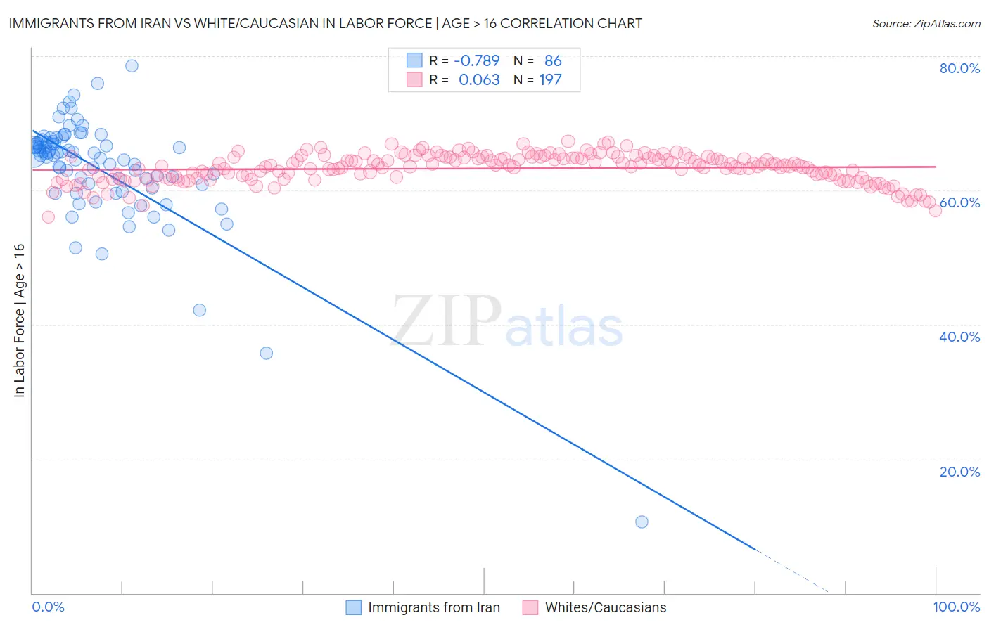 Immigrants from Iran vs White/Caucasian In Labor Force | Age > 16