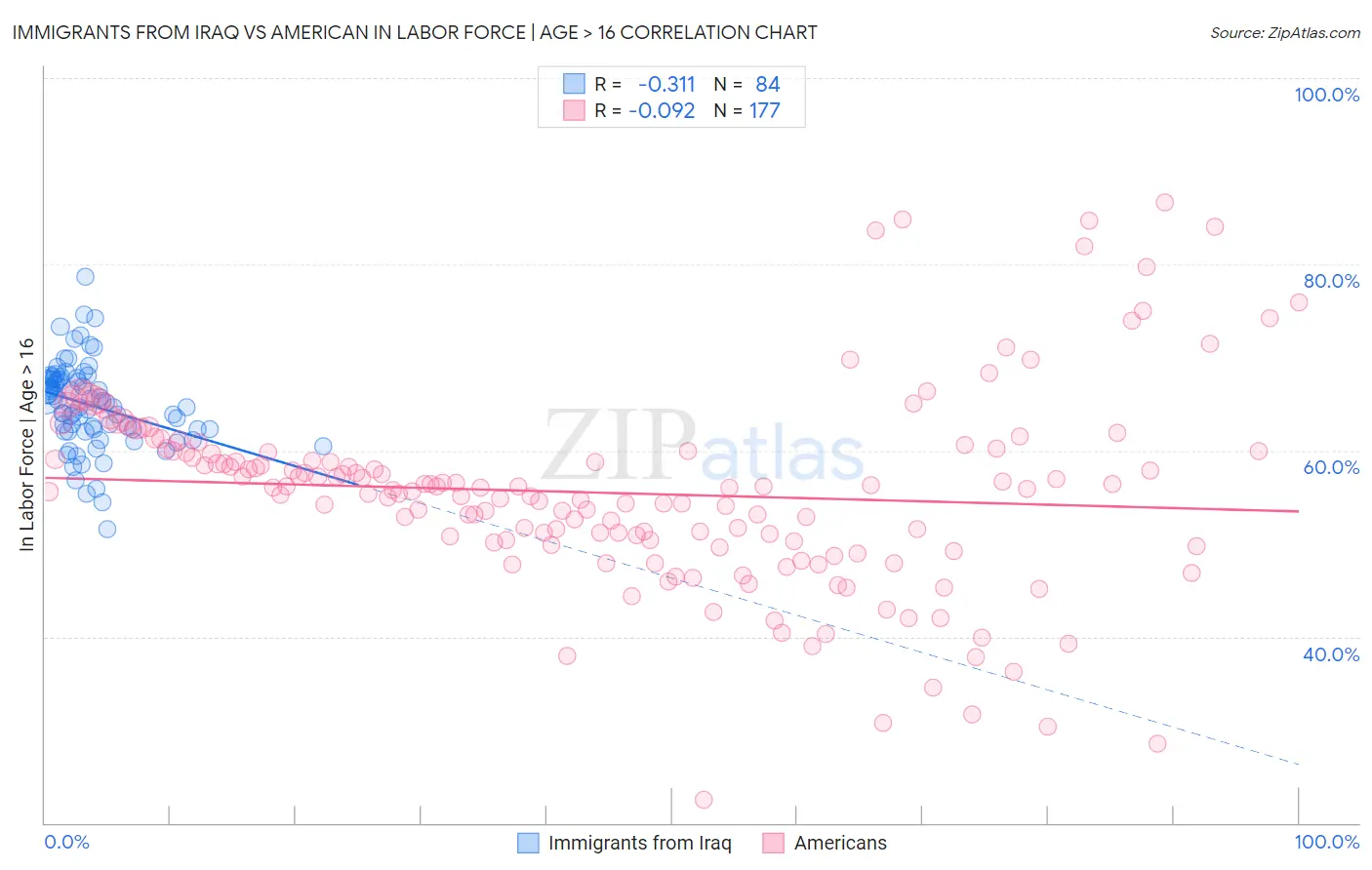 Immigrants from Iraq vs American In Labor Force | Age > 16