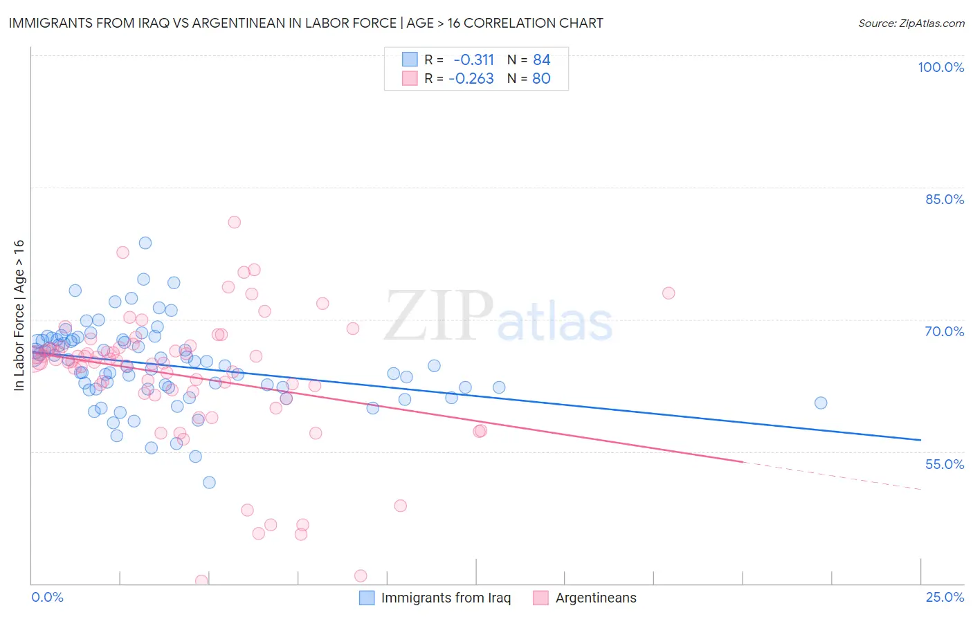 Immigrants from Iraq vs Argentinean In Labor Force | Age > 16