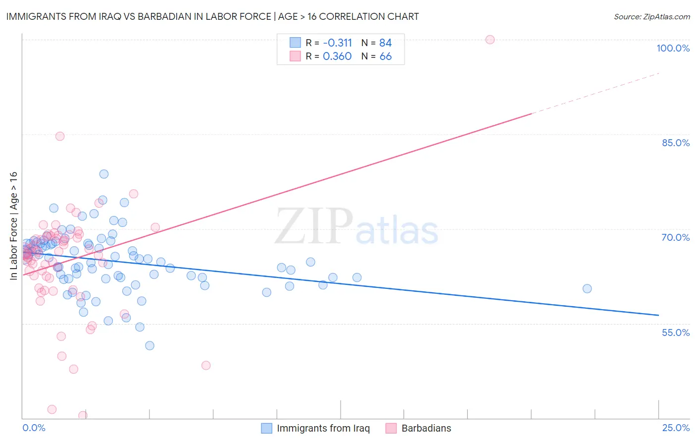 Immigrants from Iraq vs Barbadian In Labor Force | Age > 16