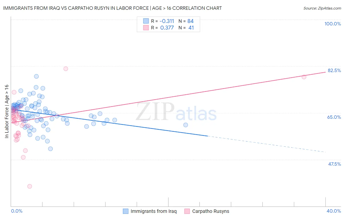Immigrants from Iraq vs Carpatho Rusyn In Labor Force | Age > 16