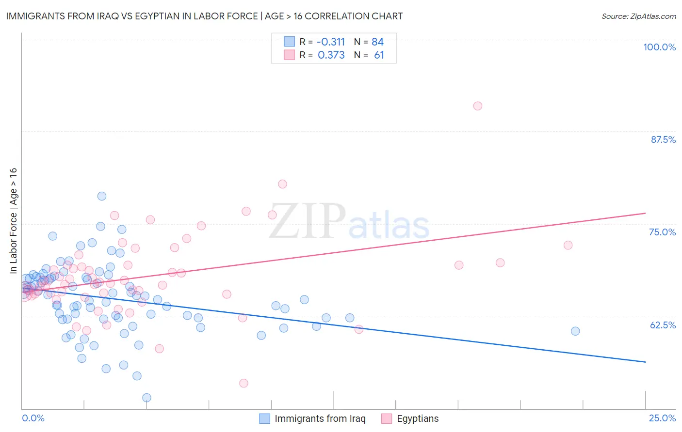 Immigrants from Iraq vs Egyptian In Labor Force | Age > 16