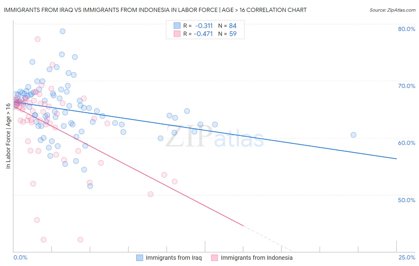 Immigrants from Iraq vs Immigrants from Indonesia In Labor Force | Age > 16