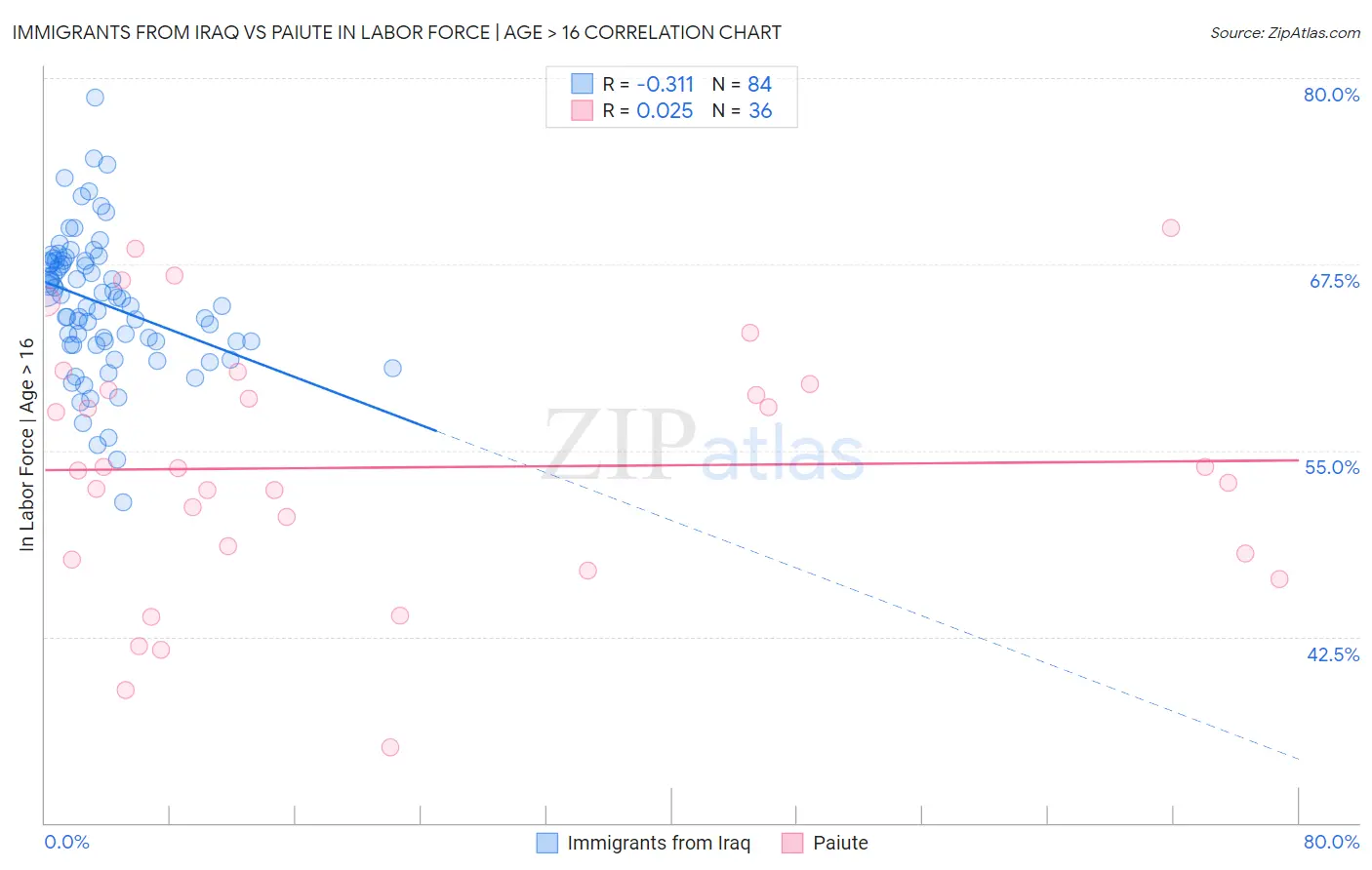 Immigrants from Iraq vs Paiute In Labor Force | Age > 16