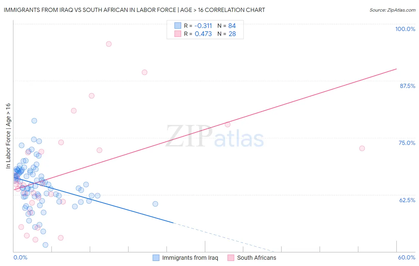 Immigrants from Iraq vs South African In Labor Force | Age > 16