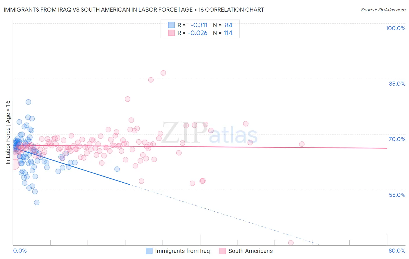 Immigrants from Iraq vs South American In Labor Force | Age > 16