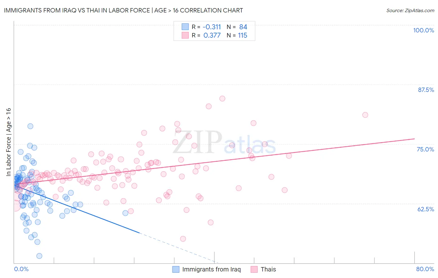 Immigrants from Iraq vs Thai In Labor Force | Age > 16