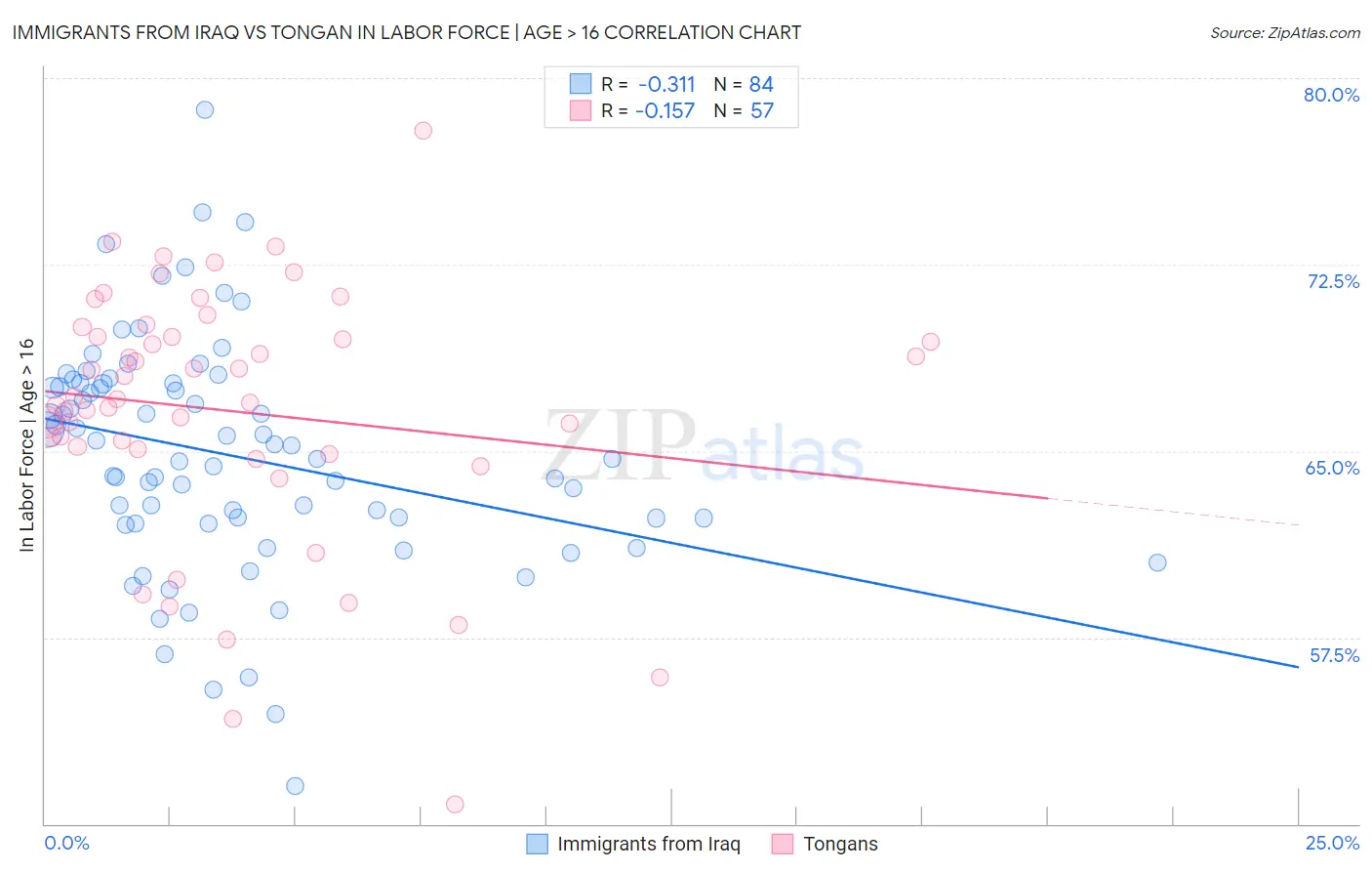 Immigrants from Iraq vs Tongan In Labor Force | Age > 16
