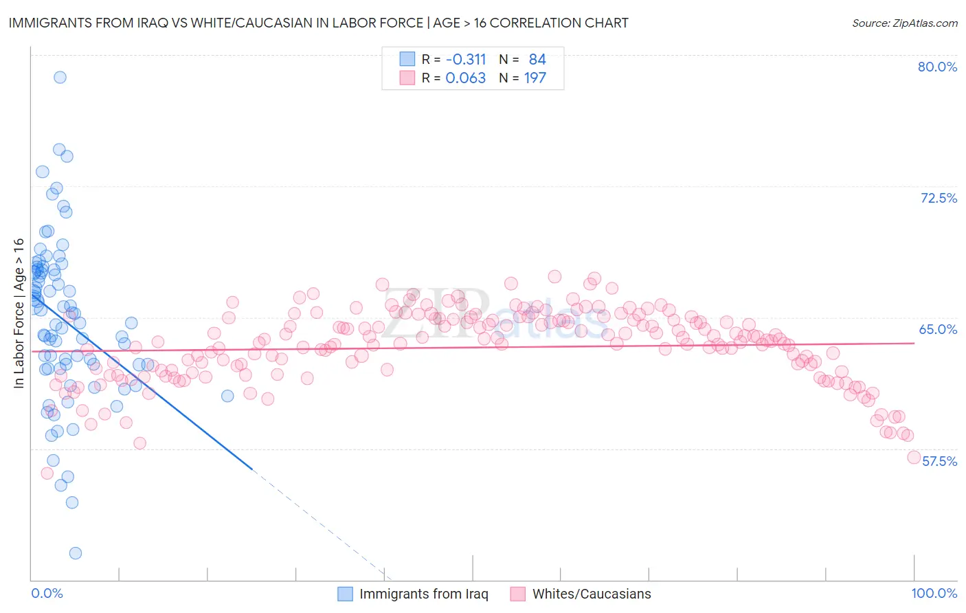 Immigrants from Iraq vs White/Caucasian In Labor Force | Age > 16