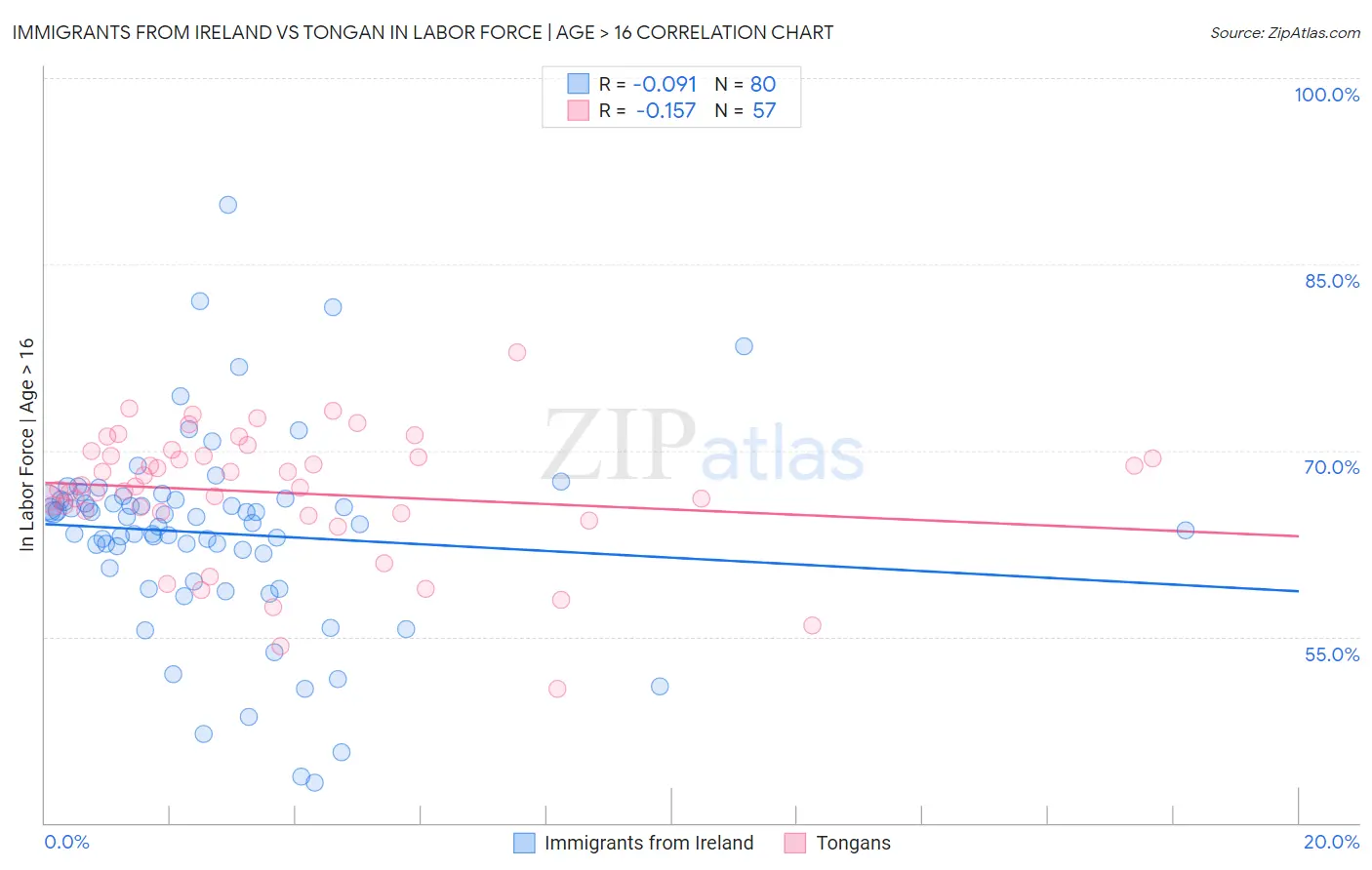 Immigrants from Ireland vs Tongan In Labor Force | Age > 16