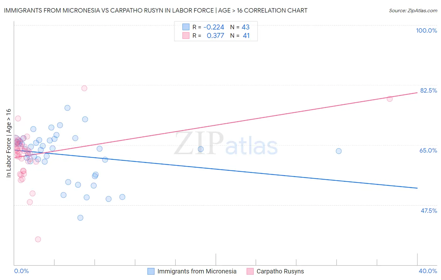 Immigrants from Micronesia vs Carpatho Rusyn In Labor Force | Age > 16