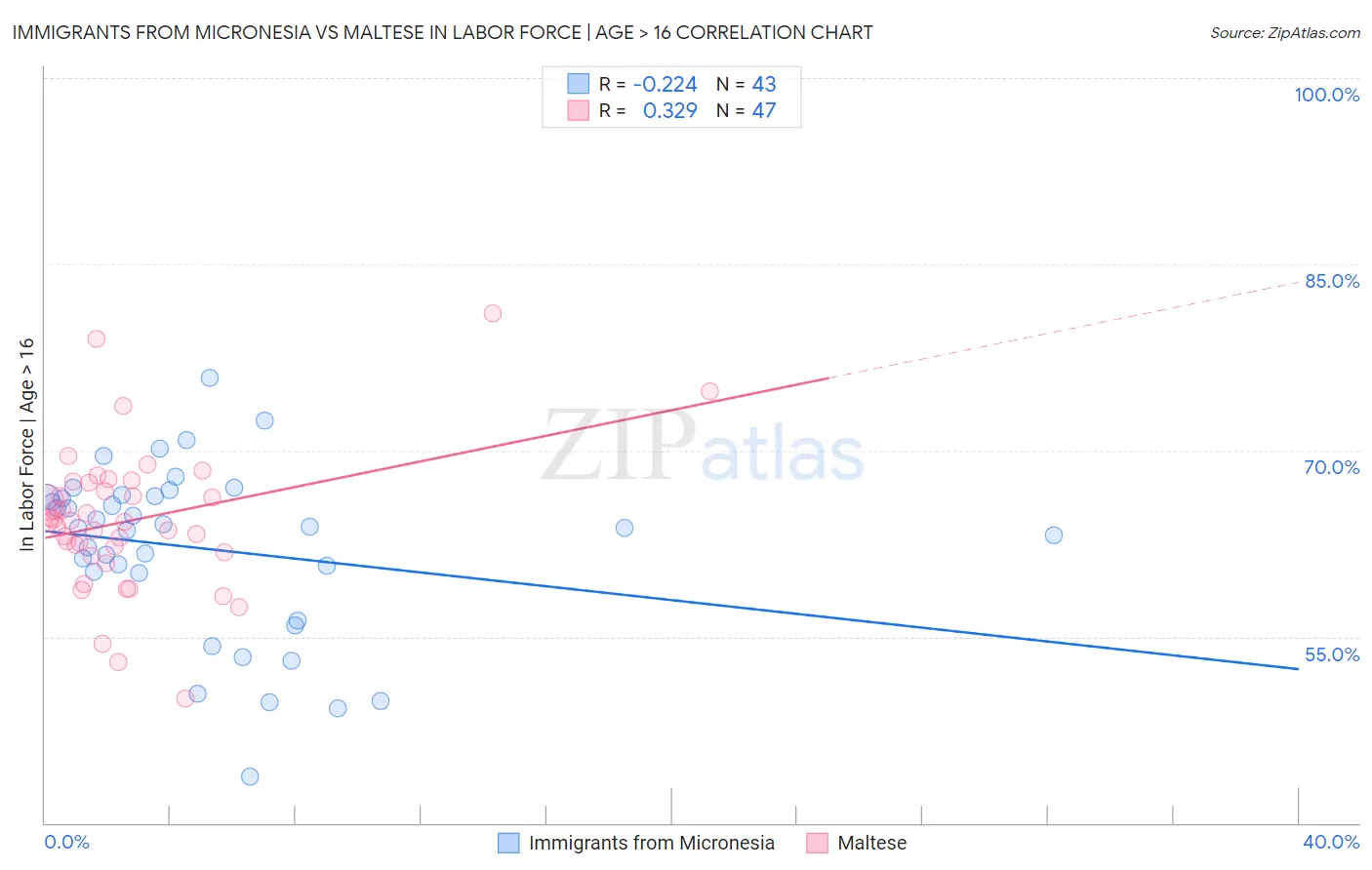 Immigrants from Micronesia vs Maltese In Labor Force | Age > 16