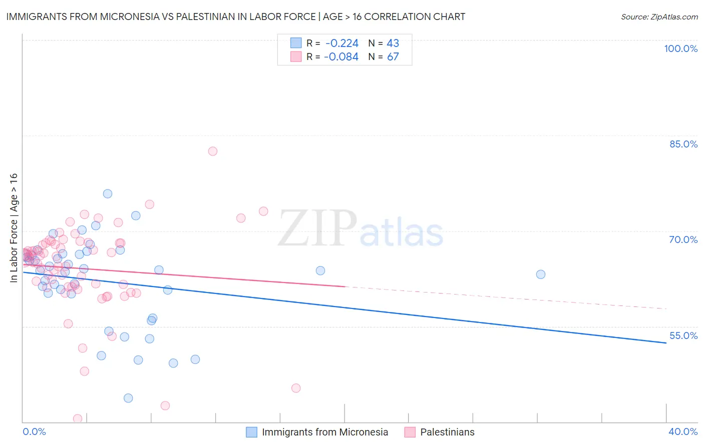 Immigrants from Micronesia vs Palestinian In Labor Force | Age > 16