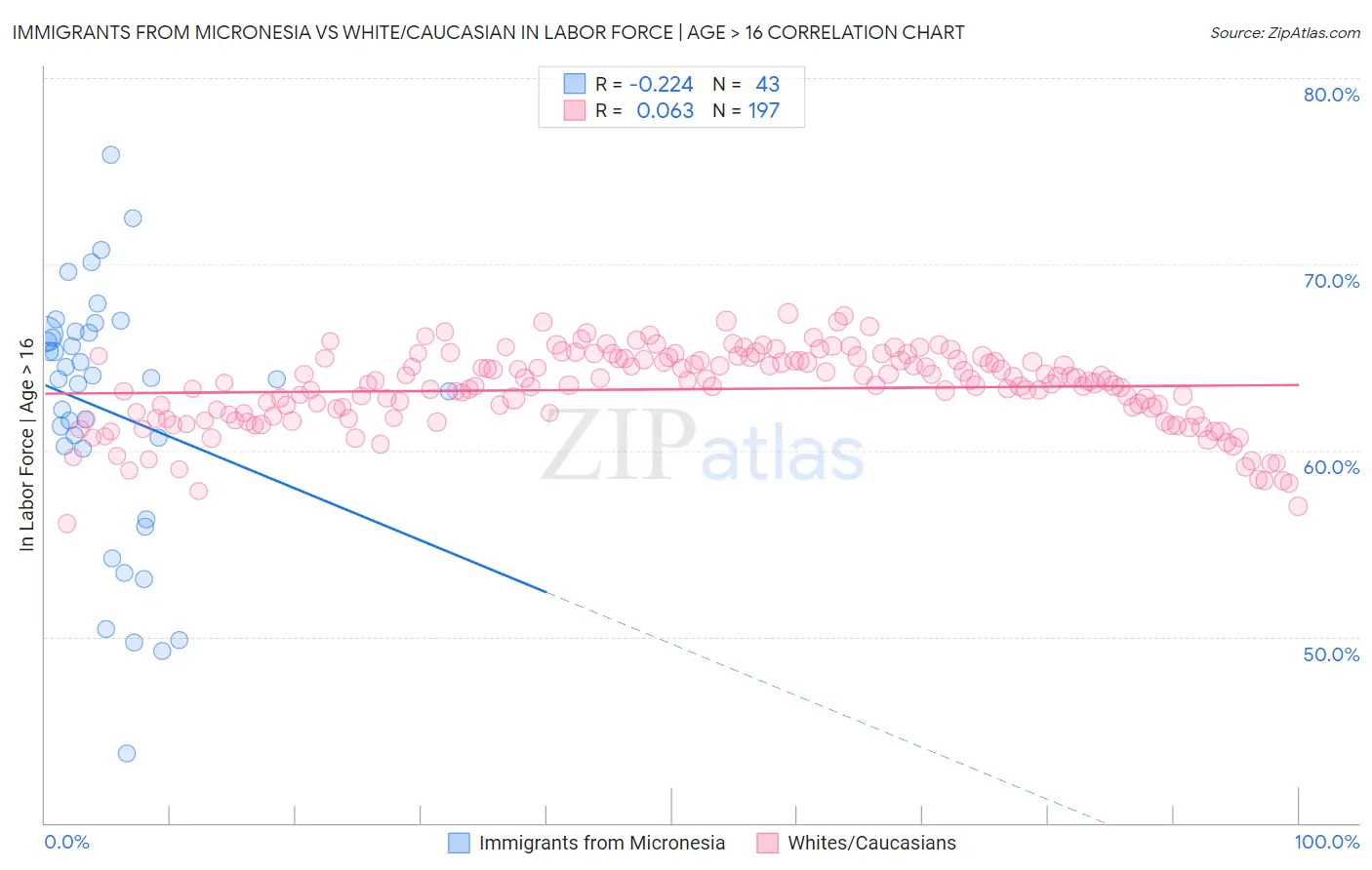 Immigrants from Micronesia vs White/Caucasian In Labor Force | Age > 16