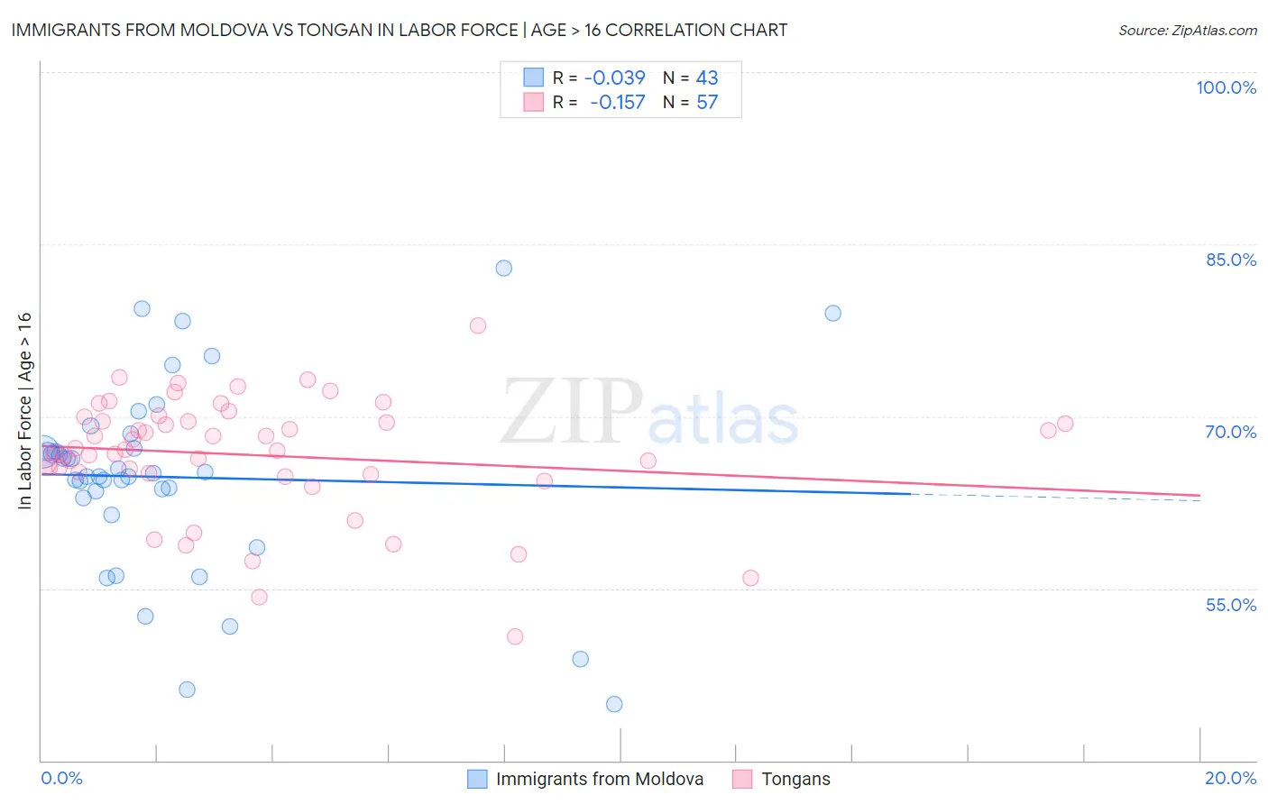 Immigrants from Moldova vs Tongan In Labor Force | Age > 16