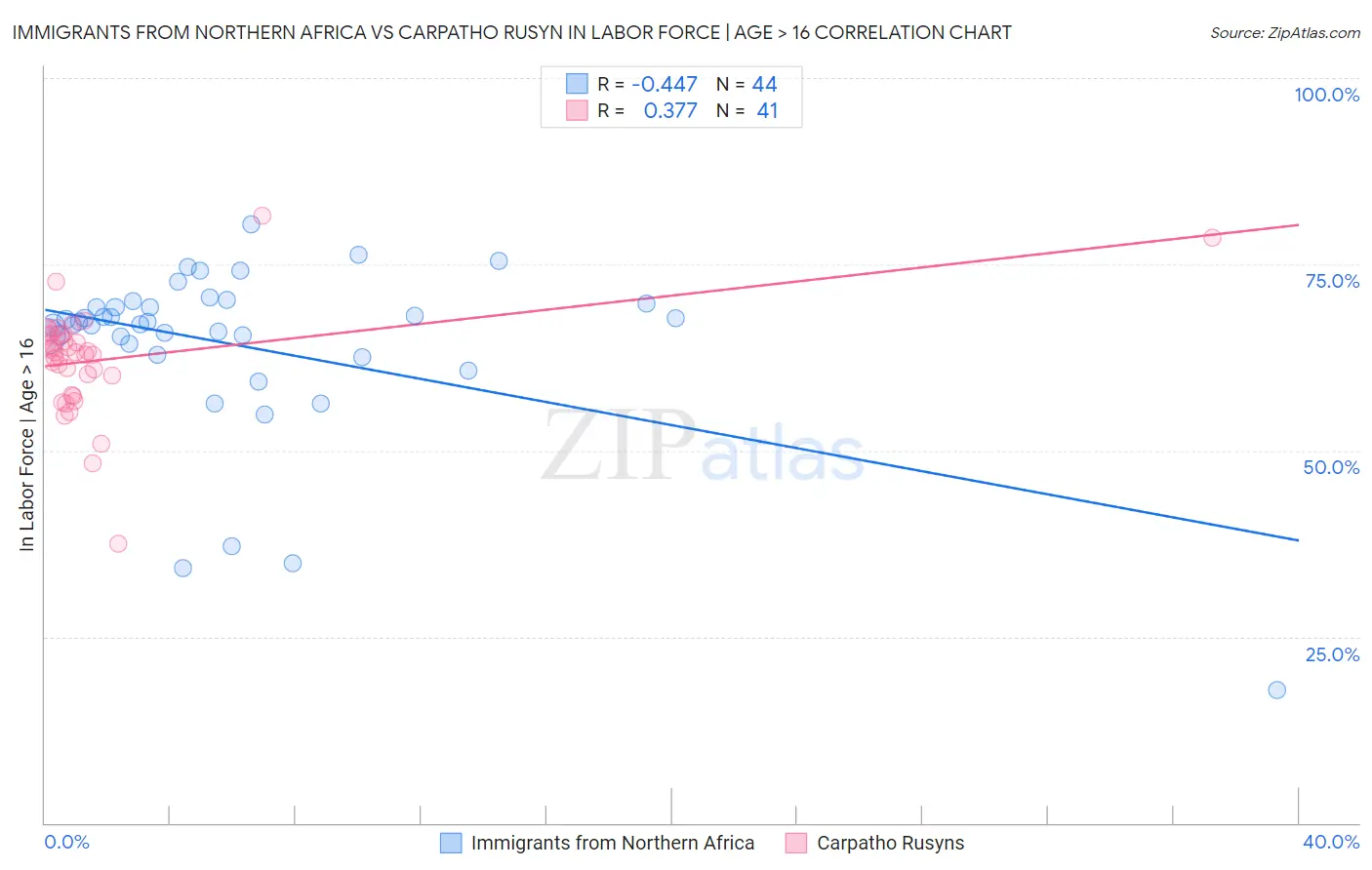 Immigrants from Northern Africa vs Carpatho Rusyn In Labor Force | Age > 16