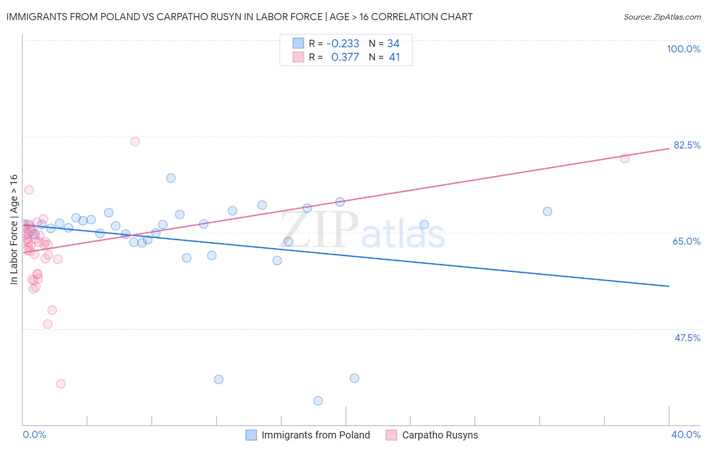 Immigrants from Poland vs Carpatho Rusyn In Labor Force | Age > 16