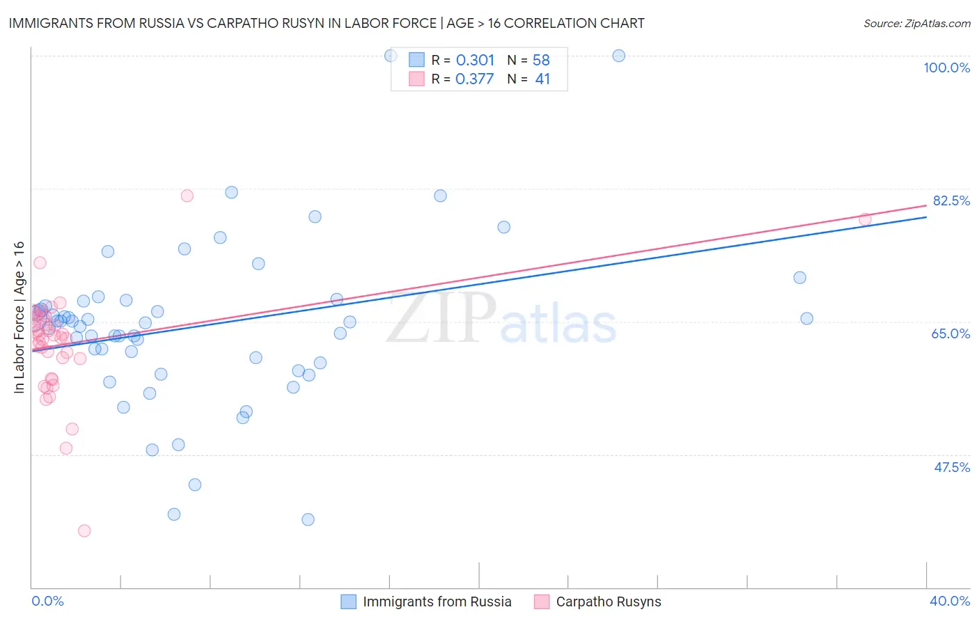 Immigrants from Russia vs Carpatho Rusyn In Labor Force | Age > 16