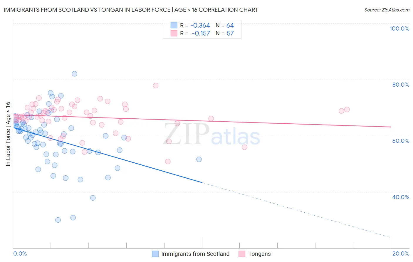 Immigrants from Scotland vs Tongan In Labor Force | Age > 16